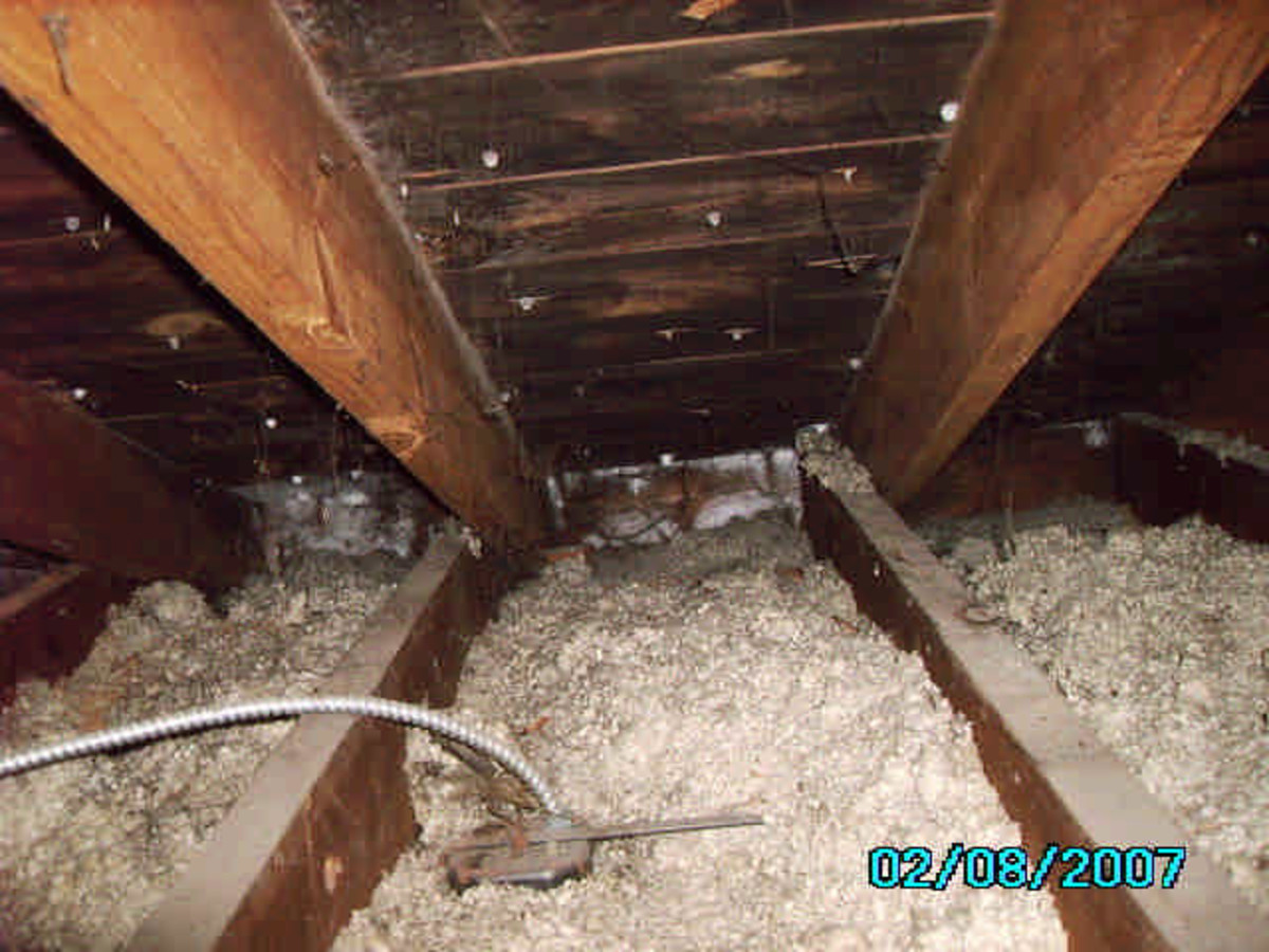 How to Prevent Attic Mold From Growing (If It's Not Too Late Already) Dengarden
