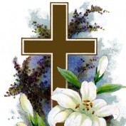 chiem1121 profile image