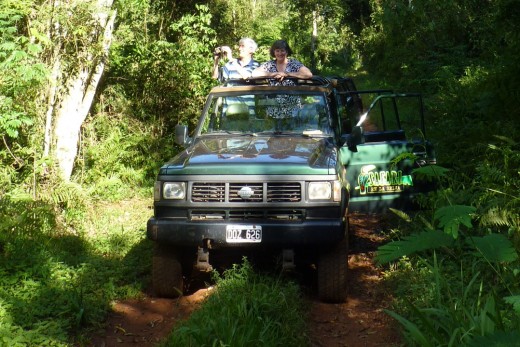 Us on safari in a 4x4 in the jungle beside Iguazu Falls.