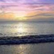 Wedding-beach-hou profile image