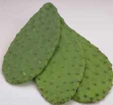 Nopales prepared and ready for cooking.