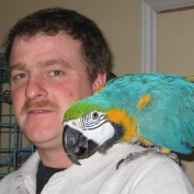 bobwhitequail profile image