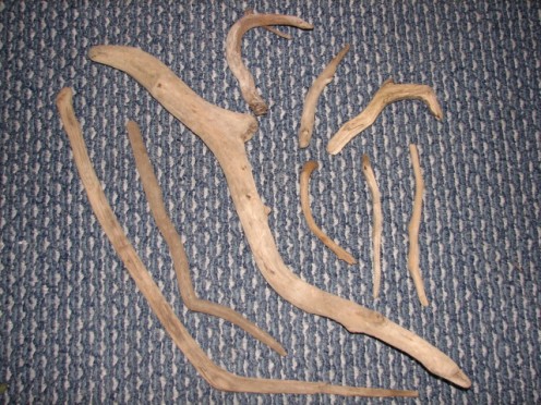 I picked this pile of driftwood for making Snakes, I call it SNAKEWOOD