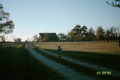 Sword strolls down our driveway in 2001 when we first moved in. The barn across the road from us, visible on the horizon, no longer exists. 