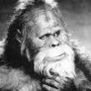 bigfootbubba profile image