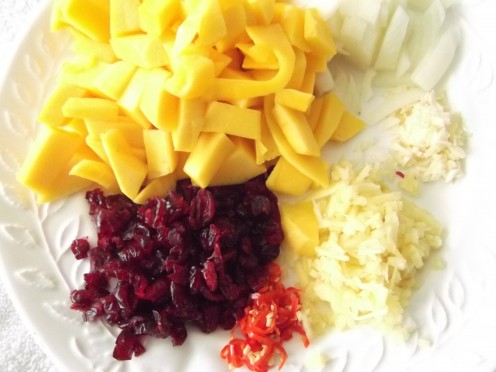 The colors of chutney, clockwise: onion, garlic, ginger, chili, cranberries, mango.