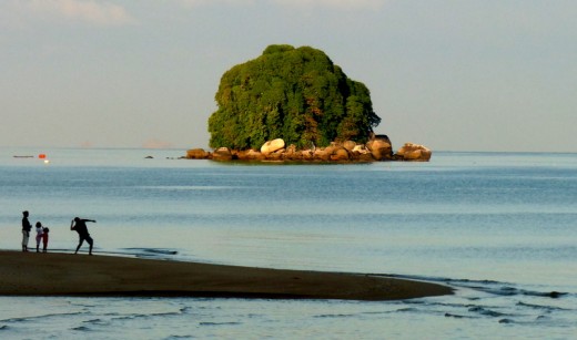 167mm cropped & edited with Picasa. Click on the image for a larger image
