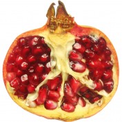 Za'atar profile image