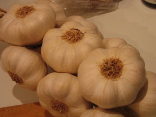 Garlics on table - Wonder Herb