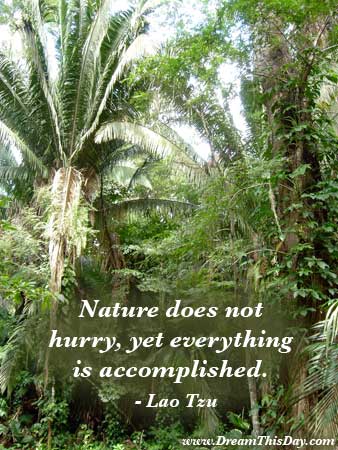 Beautiful nature quote