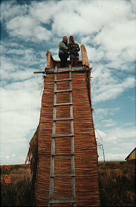 Reed Island Lookout Tower made out of Reed 