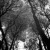 "Reflections 1" by cbirrell via sxu.hu "Reflections 1" by cbirrell via sxu.hu