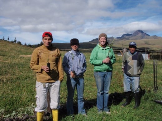 The adventurers help plant trees in the Cotopaxi area.