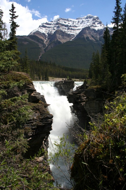 Athabasca Falls 
