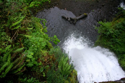 Looking down from top of Multnomah Falls 