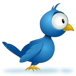 Twitter Guide for Beginners