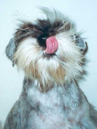 WINNER!!  BEST KISSER!!!
