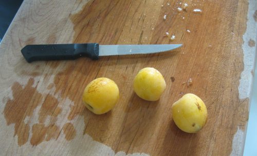 Fresh loquats.