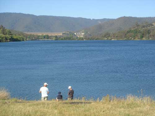 Brown trout, rainbow trout, redfin, perch, Murray cod, roach, tench, and carp are some of the species that can be caught around Lake Eildon and local rivers. 
