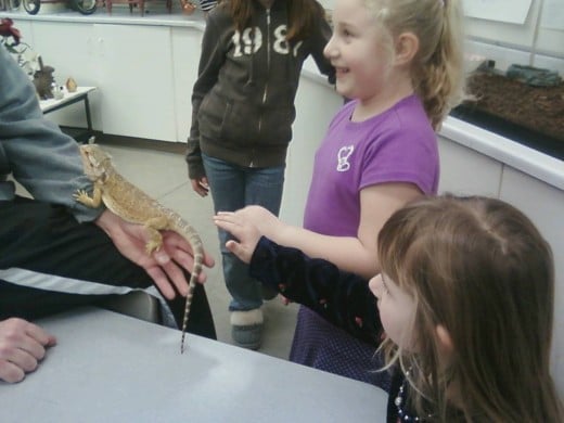 The kids petting a lizard at Funday Sunday at the Mazza Museum.