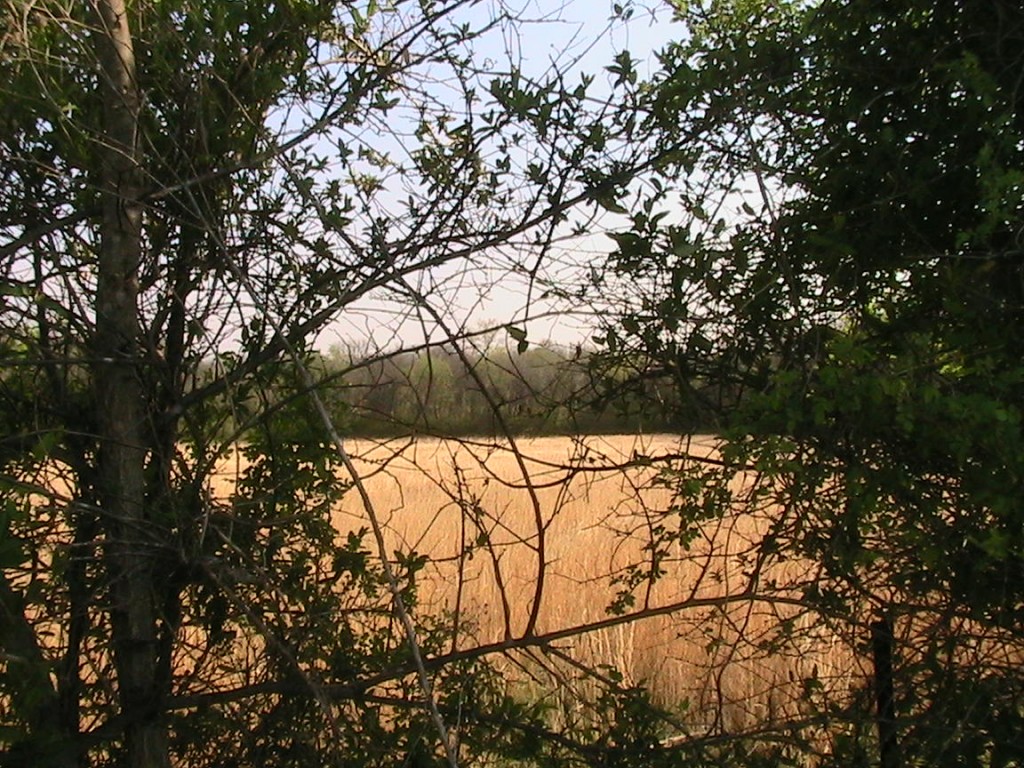 read Нахождение центра тяжести плоской