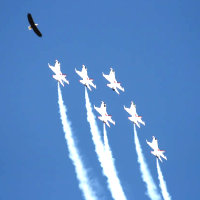 You are Born to Fly......