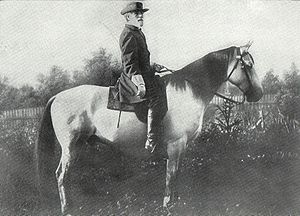 General Lee and his horse Traveller