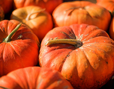 Pumpkin is a good source of vitamin A