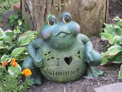 The Frog - No nonsense!