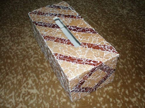 A tissue box made from a shoe box.