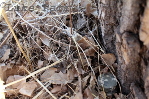 Can you spot the geocache?