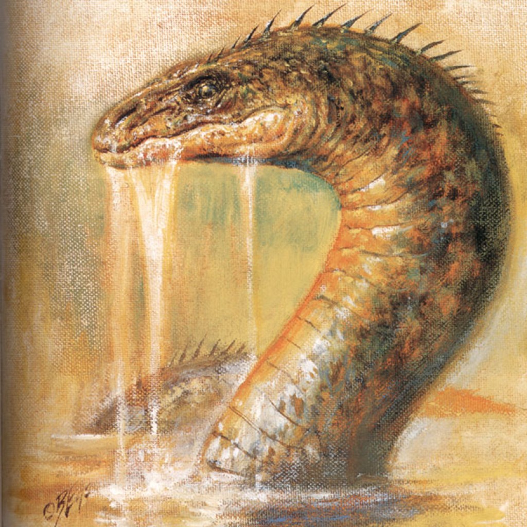 sea-creatures-throughout-history-sea-serpents-mermaids-and-the-loch