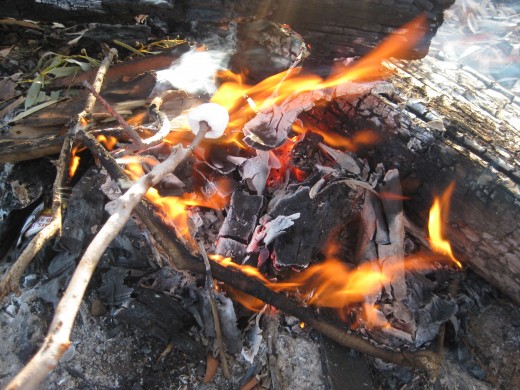 Marshmallows on the fire in winter