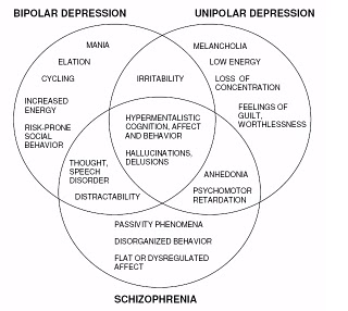 Psychosis is a complex condition according to this Venn diagram that links it to other mental conditions.