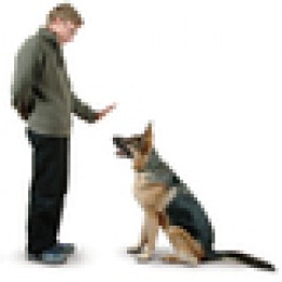 https://usercontent2.hubstatic.com/4930839_f260.jpg