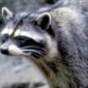 Mr_Frugal profile image