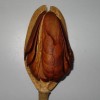 richardyeo profile image