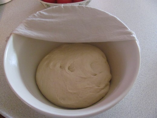 Dough - Ready for First Rising