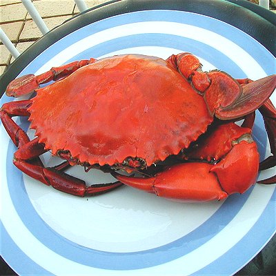 Seafood heaven !