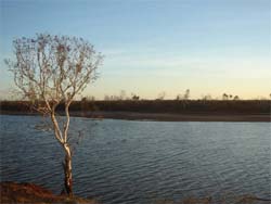 Spot for Mud crabbing