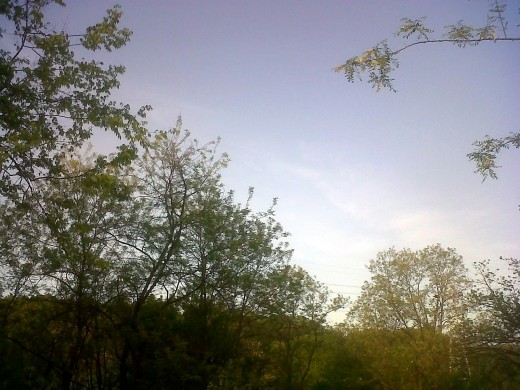 Knoxville had beautiful weather today, sadly though, we stayed in all day watching the entire season 2 of Breaking Bad.