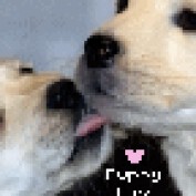 happy6 profile image