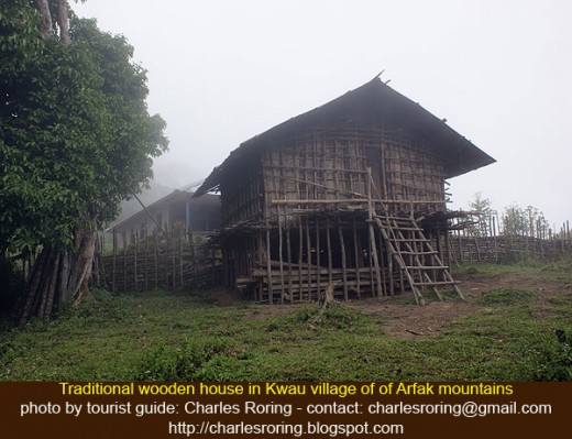 wooden house of Hatam tribe in Kwau village of Arfak mountains