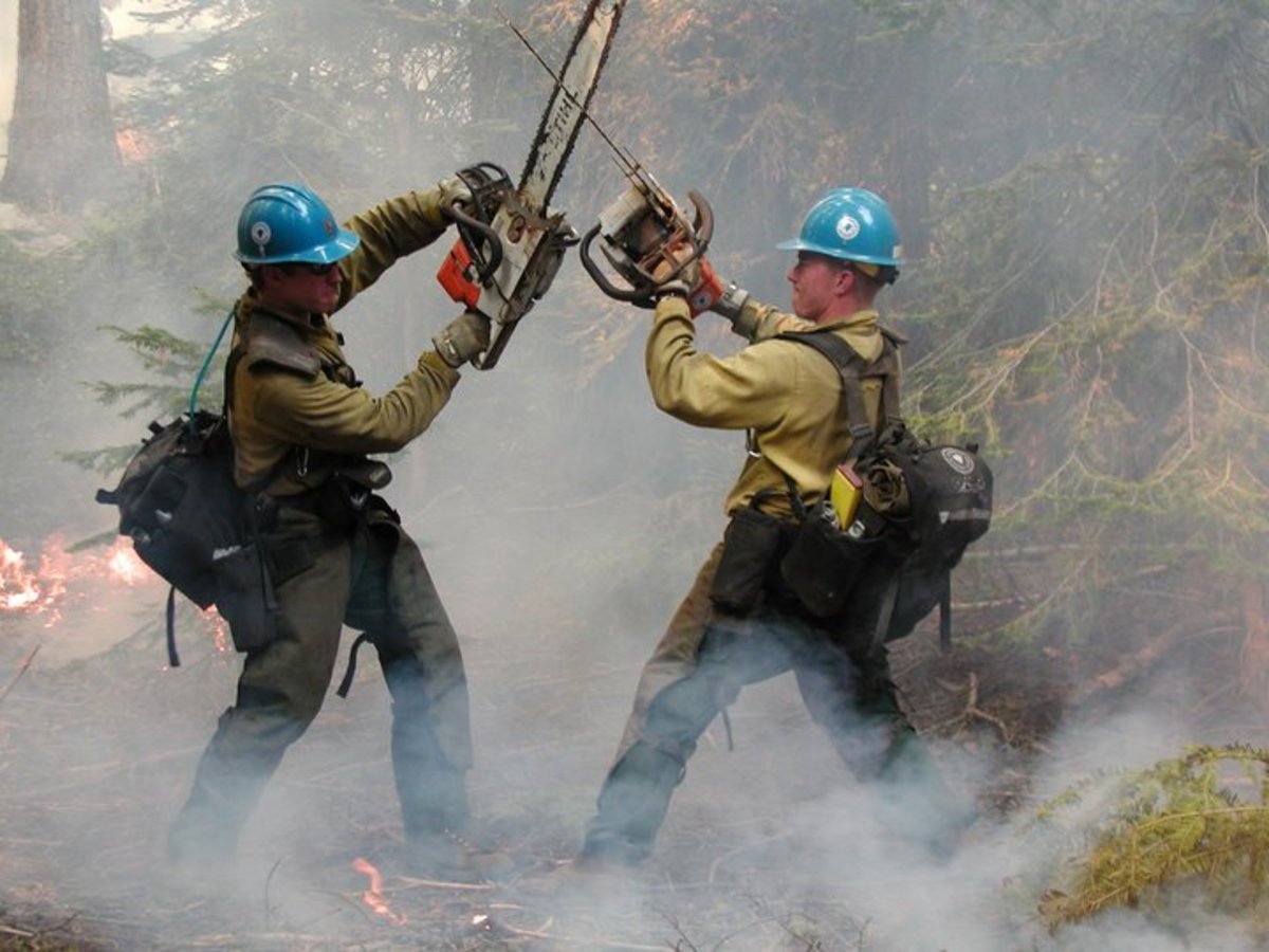 Winter wildland firefighting jobs
