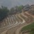 Rice Terraces, Hoang Lien Mountains, Sapa, Vietnam. Rice Terraces, Hoang Lien Mountains, Sapa, Vietnam.
