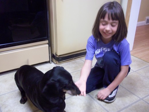 13-year-old Doggy Max and his 7-year-old favorite sister, Bella