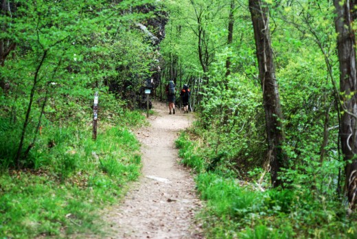 Hikers enter the Appalachian Trail with only two thousand miles to go.