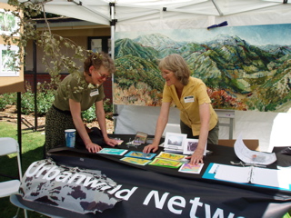 Aim for an effective, attractive table display. For this event we were protesting the illegal clearcutting of native trees by a public agency.