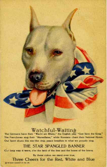 Stubby, the WWI pit bull