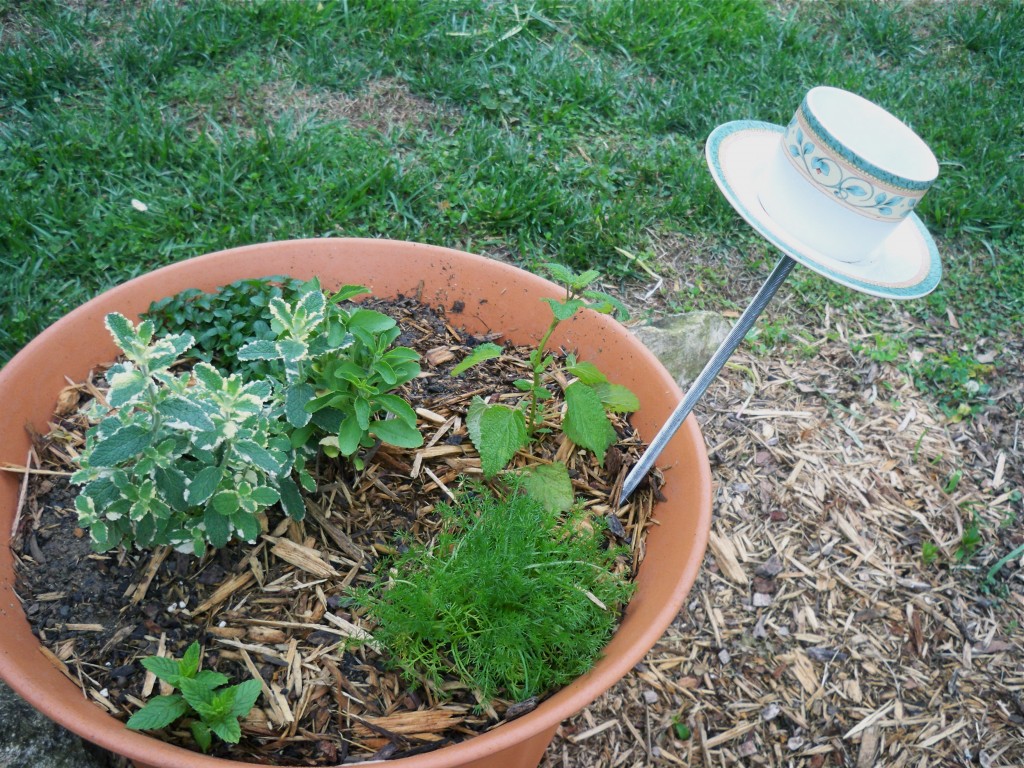 A Garden Project Make A Teapot Planter hubpages